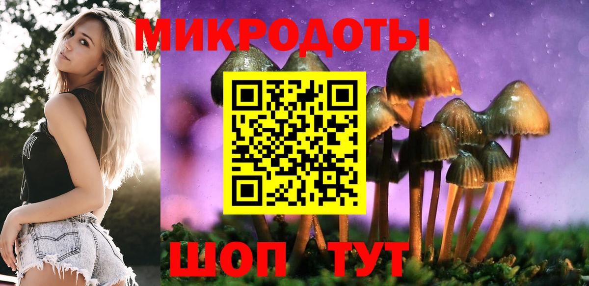 Галлюциногенные грибы Psilocybe  Вход с VPN  Кохма 